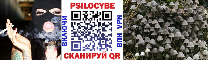 mega зеркало  Кострома  Галлюциногенные грибы Cubensis  что такое  